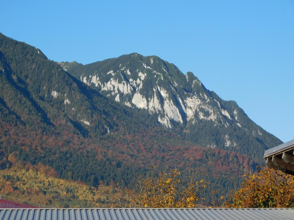 Mountain Vista Suites Zarnesti Luaran gambar