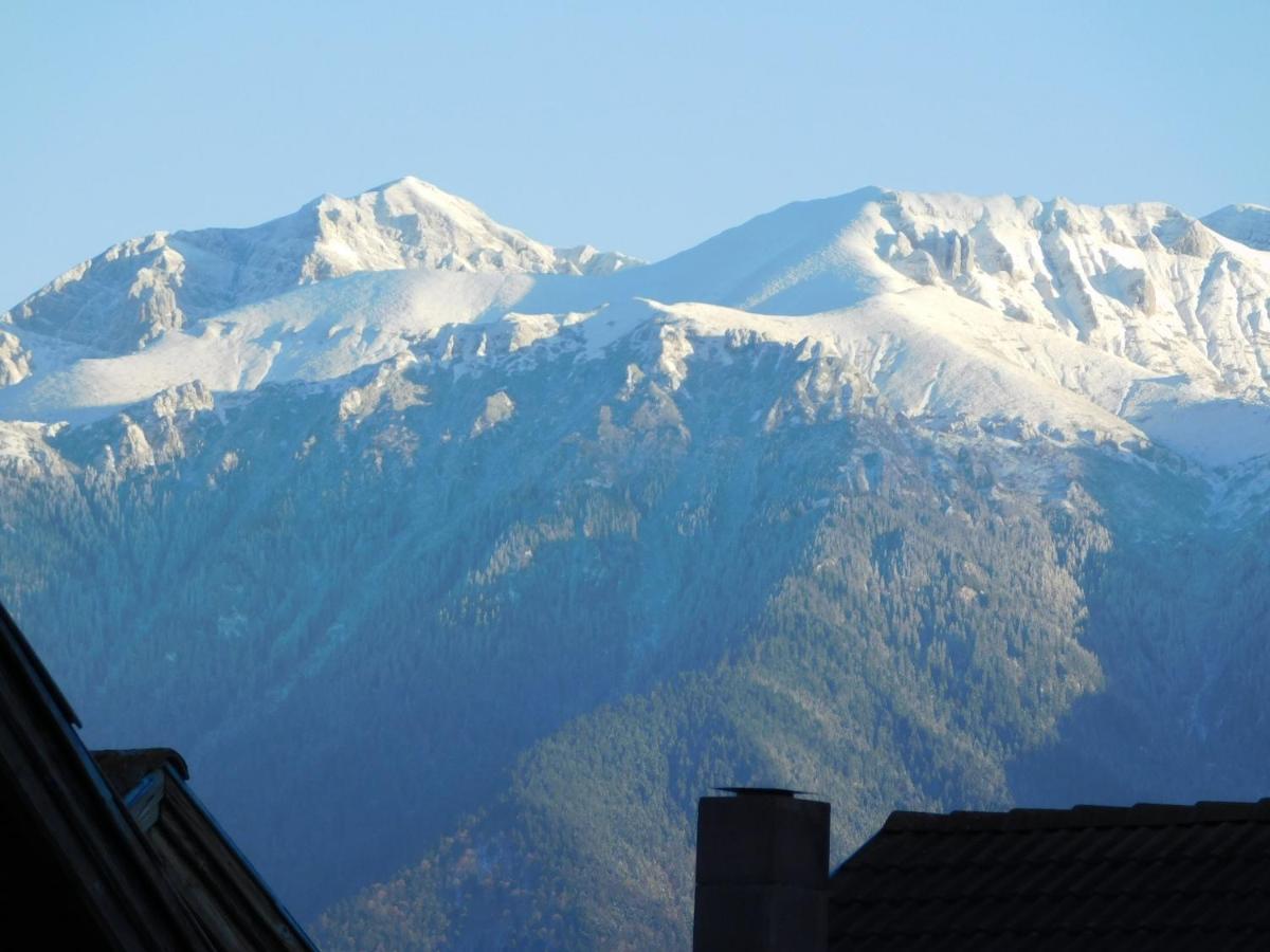 Mountain Vista Suites Zarnesti Luaran gambar