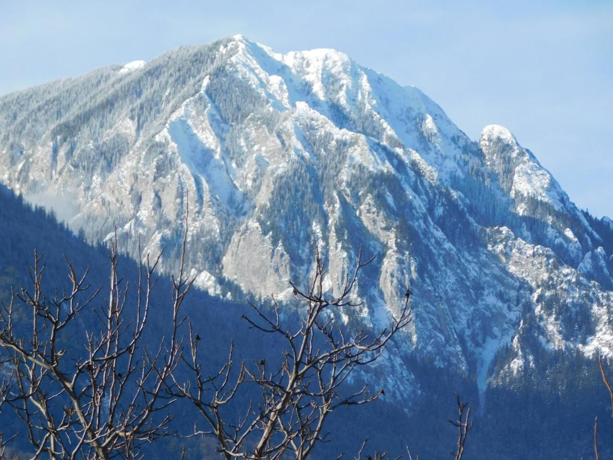 Mountain Vista Suites Zarnesti Luaran gambar