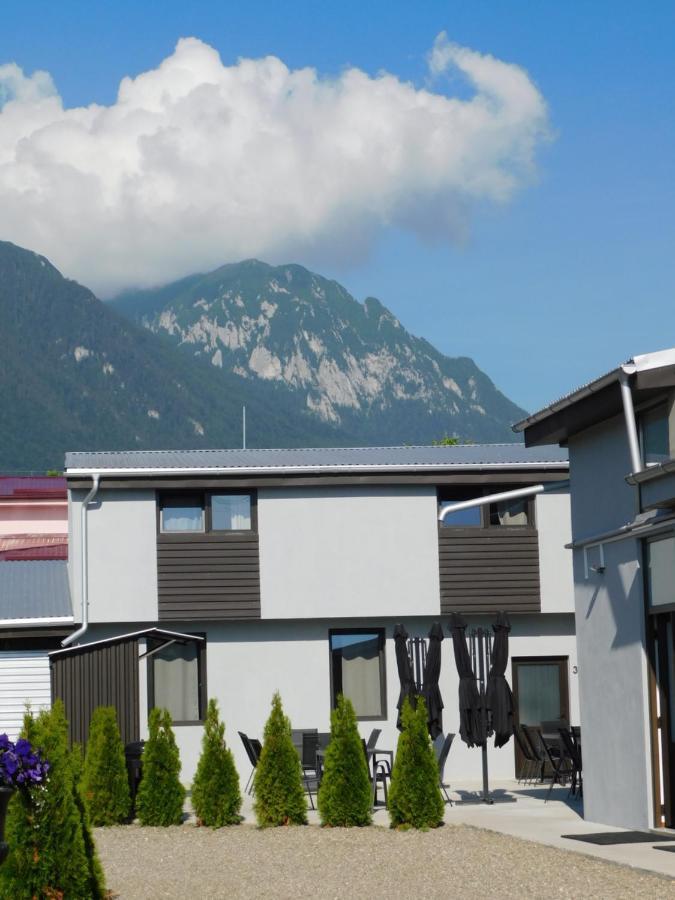Mountain Vista Suites Zarnesti Luaran gambar